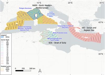 Evaluation of the exposure of the Mediterranean biodiversity to marine litter: the ASI – plastic busters MPAs projects connection